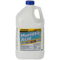 Champion No Scent Muriatic Acid 1 gal Liquid - Case of 4