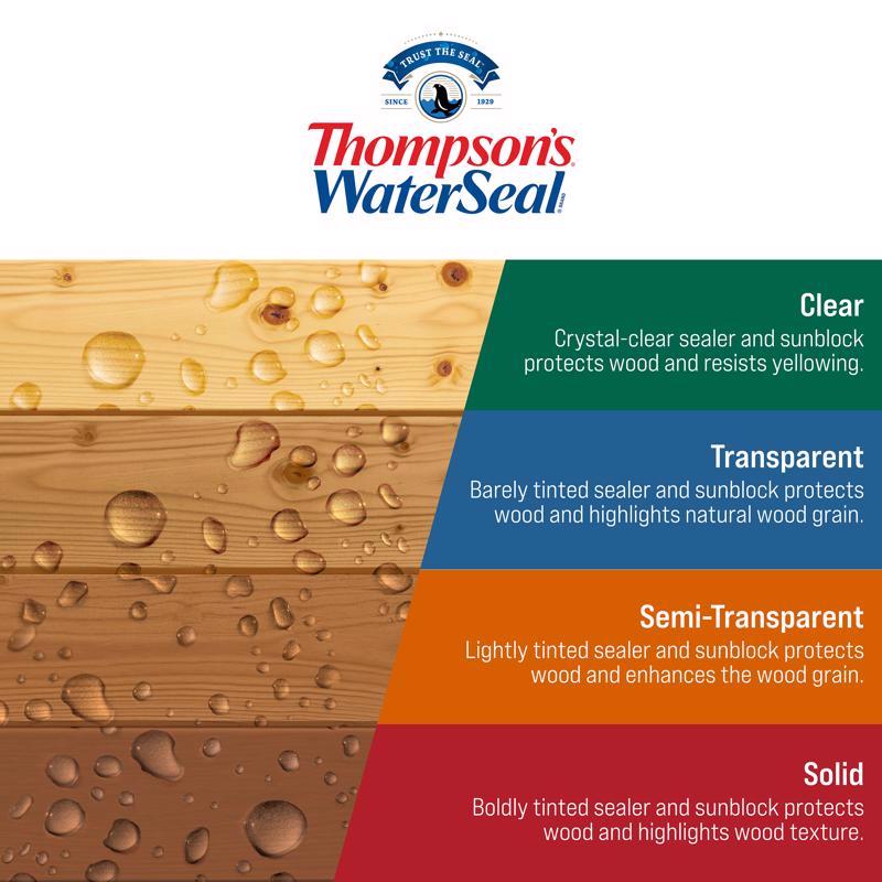 Thompson's WaterSeal Clear Wood Sealer Clear Fully-Transparent Oil-Based Wood Sealant 1.2 gal - Case of 4