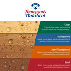 Thompson's WaterSeal Clear Wood Sealer Clear Fully-Transparent Oil-Based Wood Sealant 1.2 gal - Case of 4