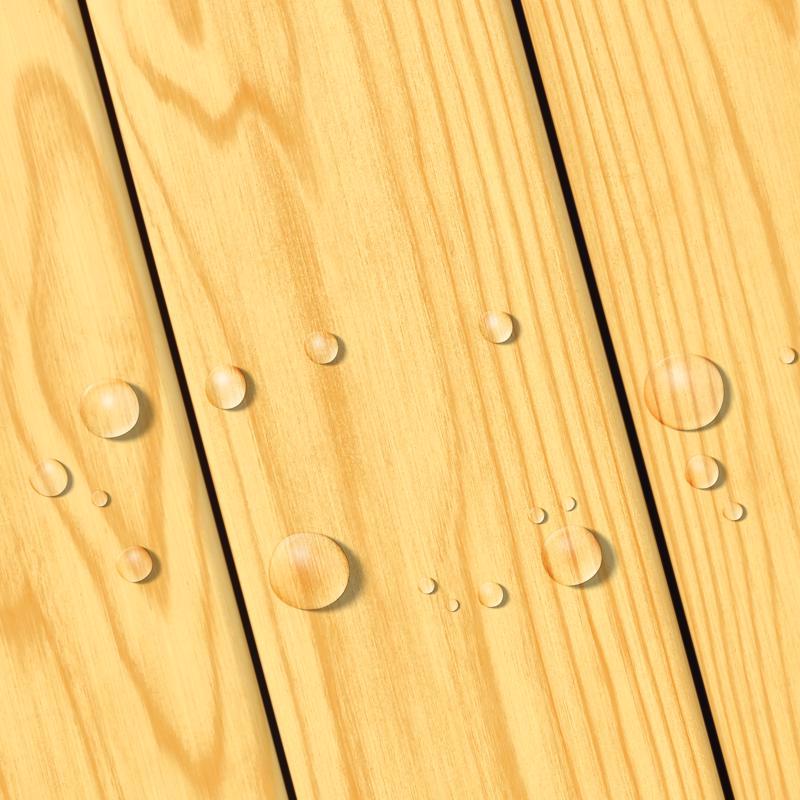 Thompson's WaterSeal Clear Wood Sealer Clear Fully-Transparent Oil-Based Wood Sealant 1.2 gal - Case of 4