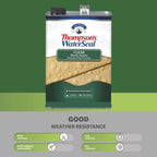 Thompson's WaterSeal Clear Wood Sealer Clear Fully-Transparent Oil-Based Wood Sealant 1.2 gal - Case of 4