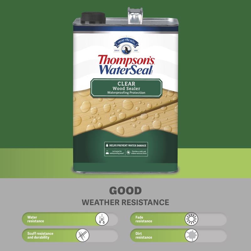 Thompson's WaterSeal Clear Wood Sealer Clear Fully-Transparent Oil-Based Wood Sealant 1.2 gal - Case of 4