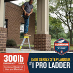 Werner 2 ft. H Aluminum Step Ladder Type IA 300 lb. cap.