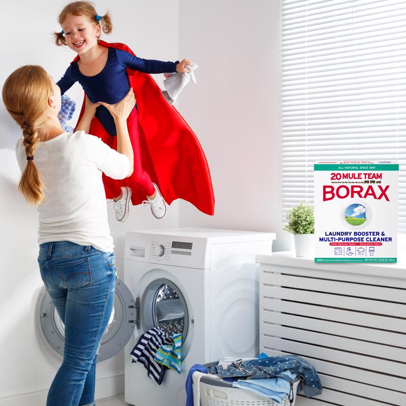 20 Mule Team Borax N/A No Scent Detergent Booster and Household Cleaner Powder 4 lb 1 pk - Case of 6