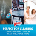 Windex Original No Scent Glass Cleaner 23 oz Liquid - Case of 8