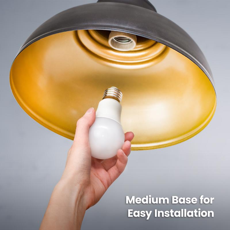 Feit A19 E26 (Medium) LED Bulb Daylight 100 Watt Equivalence 4 pk
