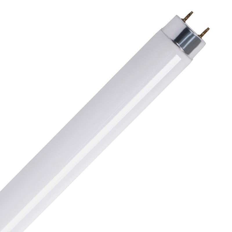 Feit Legacy Bulb 32 W T8 1 in. D X 47.6 in. L Fluorescent Bulb Cool White Linear 4100 K 2 pk - Case of 15