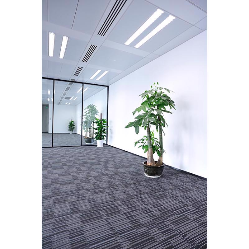 Feit Legacy Bulb 32 W T8 1 in. D X 47.6 in. L Fluorescent Bulb Cool White Linear 4100 K 2 pk - Case of 15