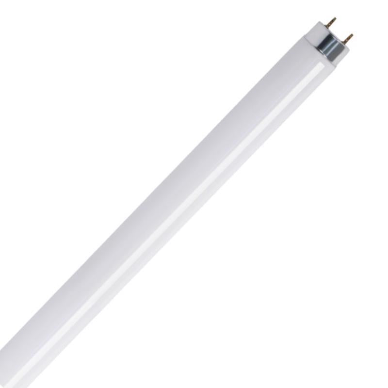 Feit 20 watt 1.5 in. Dia. x 24 in. L Fluorescent Bulb Cool White Linear 2 pk - Case of 6