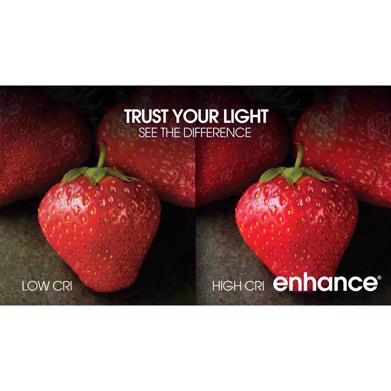 Feit A19 E26 (Medium) LED Bulb Daylight 60 Watt Equivalence 10 pk - Case of 4