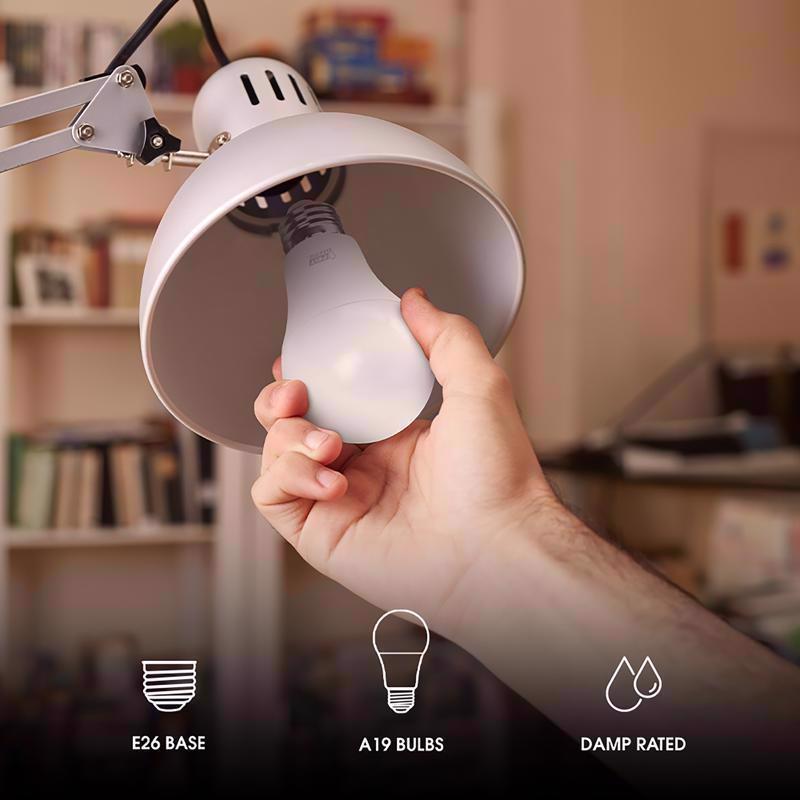 Feit A19 E26 (Medium) LED Bulb Daylight 60 Watt Equivalence 10 pk - Case of 4