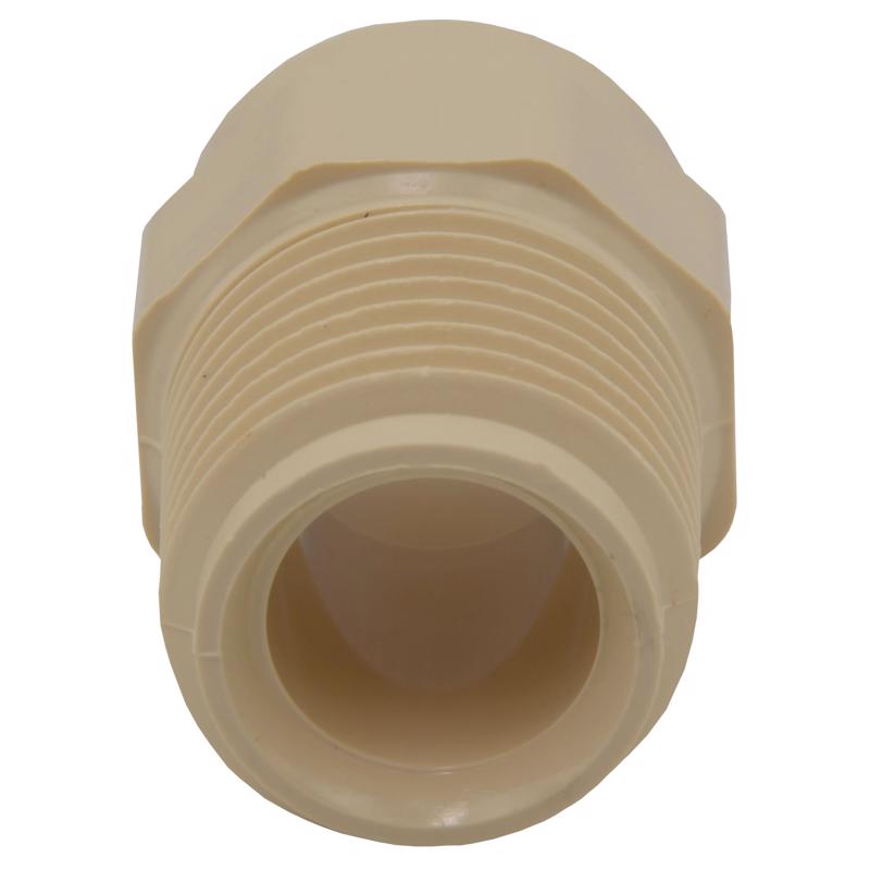 Charlotte Pipe FlowGuard Schedule 40 1/2 in. Socket X 1/2 in. D MNPT CPVC Adapter 1 pk - Case of 25