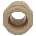 Charlotte Pipe FlowGuard Schedule 40 1/2 in. Socket X 1/2 in. D MNPT CPVC Adapter 1 pk - Case of 25