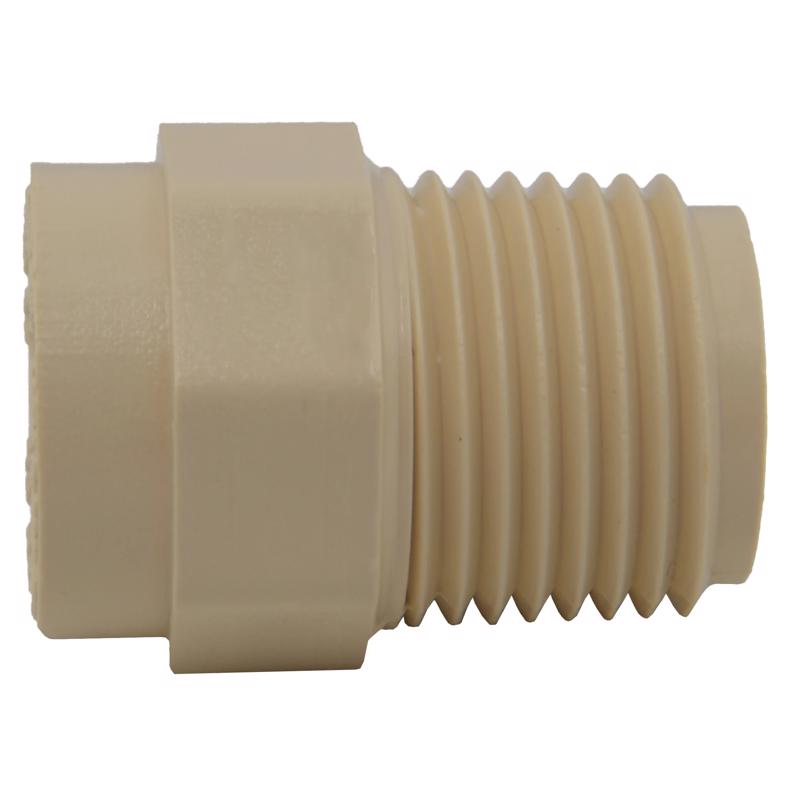 Charlotte Pipe FlowGuard Schedule 40 1/2 in. Socket X 1/2 in. D MNPT CPVC Adapter 1 pk - Case of 25