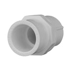 Charlotte Pipe Schedule 40 1/2 in. Slip X 1/2 in. D FPT PVC Pipe Adapter 1 pk - Case of 25