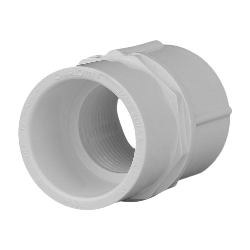 Charlotte Pipe Schedule 40 3/4 in. Slip X 3/4 in. D FPT PVC Pipe Adapter 1 pk - Case of 25