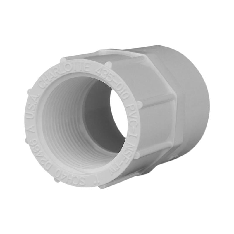 Charlotte Pipe Schedule 40 1 in. Slip X 1 in. D FPT PVC Pipe Adapter 1 pk - Case of 25