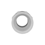 Charlotte Pipe Schedule 40 1 in. Slip X 1 in. D MPT PVC Pipe Adapter 1 pk - Case of 25