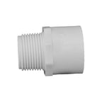 Charlotte Pipe Schedule 40 1 in. Slip X 1 in. D MPT PVC Pipe Adapter 1 pk - Case of 25