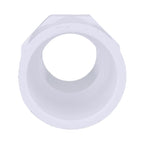 Charlotte Pipe Schedule 40 1-1/4 in. Slip X 1-1/4 in. D MPT PVC Pipe Adapter 1 pk - Case of 25
