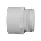 Charlotte Pipe Schedule 40 2 in. Slip X 2 in. D MPT PVC Pipe Adapter 1 pk