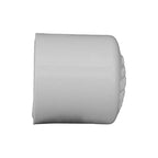 Charlotte Pipe Schedule 40 1/2 in. Slip PVC Cap 1 pk - Case of 25