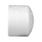 Charlotte Pipe Schedule 40 3/4 in. Socket X 3/4 in. D Socket PVC Cap 1 pk - Case of 25