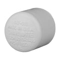 Charlotte Pipe Schedule 40 1 in. Slip PVC Cap 1 pk - Case of 25