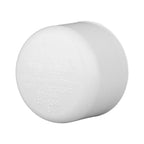 Charlotte Pipe Schedule 40 2 in. Socket PVC Cap 1 pk