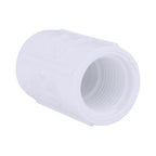 Charlotte Pipe Schedule 40 1/2 in. FPT X 1/2 in. D FPT PVC Coupling 1 pk - Case of 50