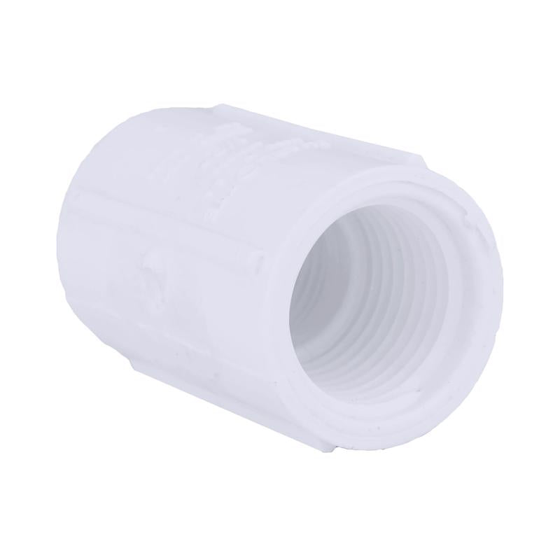 Charlotte Pipe Schedule 40 1/2 in. FPT X 1/2 in. D FPT PVC Coupling 1 pk - Case of 50