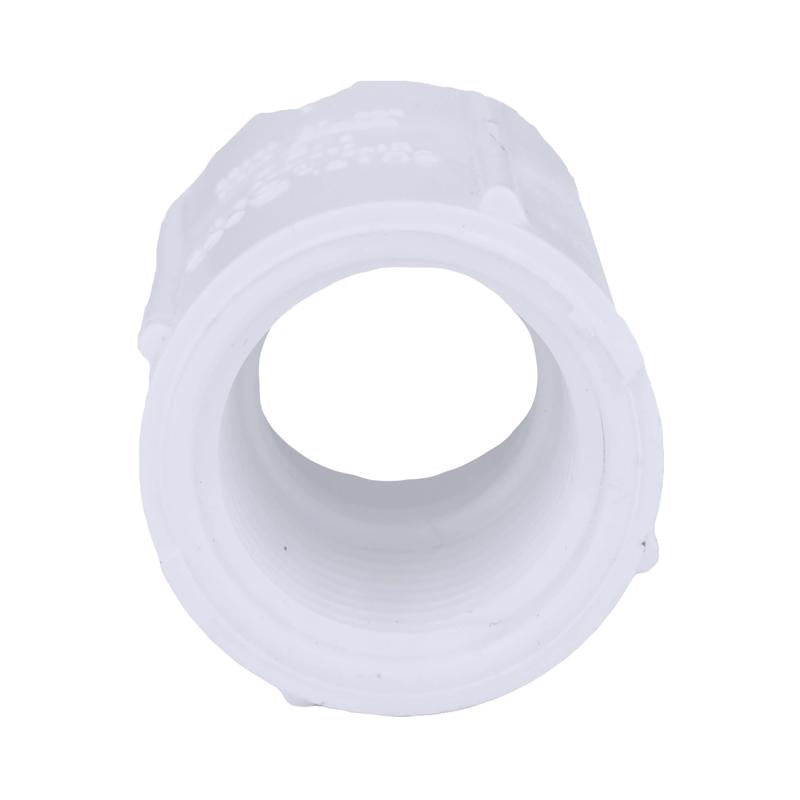 Charlotte Pipe Schedule 40 1/2 in. FPT X 1/2 in. D FPT PVC Coupling 1 pk - Case of 50
