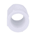 Charlotte Pipe Schedule 40 1/2 in. FPT X 1/2 in. D FPT PVC Coupling 1 pk - Case of 50