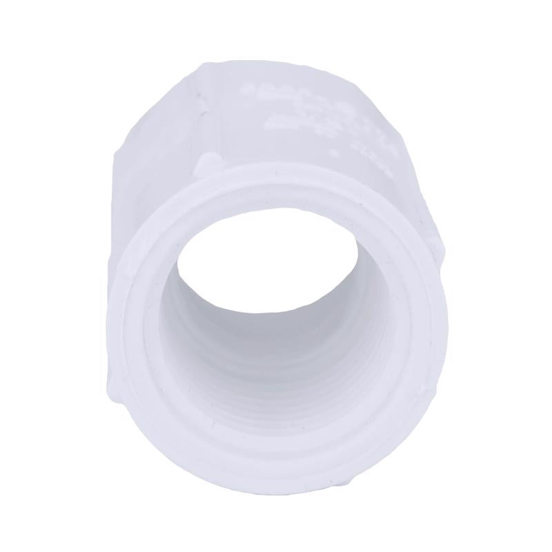 Charlotte Pipe Schedule 40 1/2 in. FPT X 1/2 in. D FPT PVC Coupling 1 pk - Case of 50