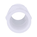 Charlotte Pipe Schedule 40 3/4 in. MPT X 1/2 in. D Slip PVC Pipe Adapter 1 pk - Case of 25