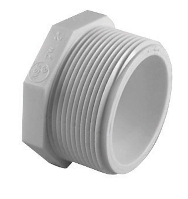 Charlotte Pipe Schedule 40 3/4 in. MPT PVC Plug 1 pk - Case of 25