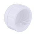 Charlotte Pipe Schedule 40 1/2 in. FPT X 1/2 in. D FPT PVC Cap 1 pk - Case of 25