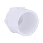 Charlotte Pipe Schedule 40 3/4 in. MPT X 1 in. D Slip PVC Pipe Adapter 1 pk - Case of 25