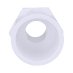 Charlotte Pipe Schedule 40 3/4 in. MPT X 1 in. D Slip PVC Pipe Adapter 1 pk - Case of 25