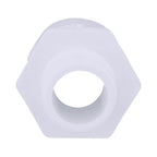 Charlotte Pipe Schedule 40 3/4 in. MPT X 1 in. D Slip PVC Pipe Adapter 1 pk - Case of 25