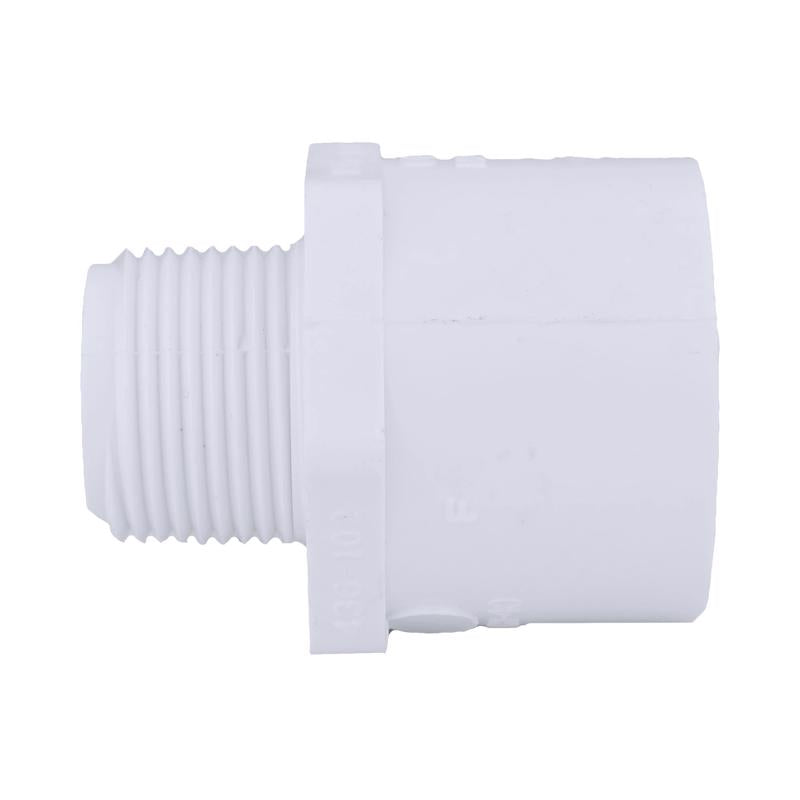 Charlotte Pipe Schedule 40 3/4 in. MPT X 1 in. D Slip PVC Pipe Adapter 1 pk - Case of 25