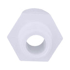Charlotte Pipe Schedule 40 1/2 in. MPT X 3/4 in. D Slip PVC Pipe Adapter 1 pk - Case of 25