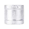 STZ Industries 1/2 in. FIP each X 1/2 in. D FIP Galvanized Malleable Iron Coupling - Case of 5