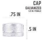 STZ Industries 1/2 in. FIP each Galvanized Malleable Iron Cap - Case of 5
