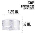 STZ Industries 3/4 in. FIP each Galvanized Malleable Iron Cap - Case of 5
