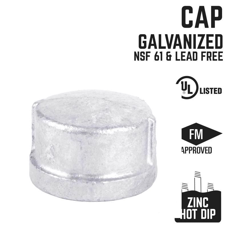 STZ Industries 1 in. FIP each Galvanized Malleable Iron Cap - Case of 5