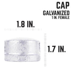 STZ Industries 1 in. FIP each Galvanized Malleable Iron Cap - Case of 5