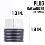 STZ Industries 1 in. MIP each Galvanized Malleable Iron Plug - Case of 5