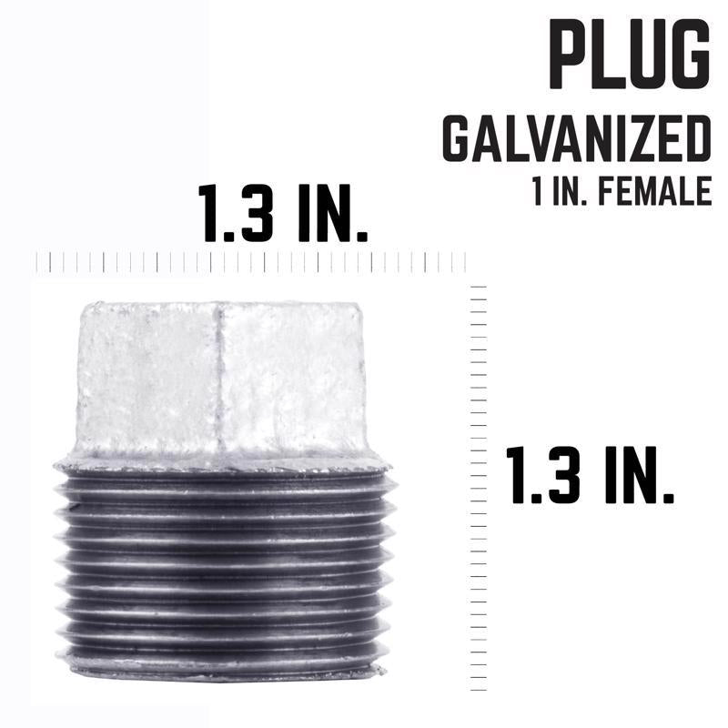 STZ Industries 1 in. MIP each Galvanized Malleable Iron Plug - Case of 5