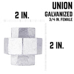STZ Industries 3/4 in. FIP each X 3/4 in. D FIP Galvanized Malleable Iron Union - Case of 5